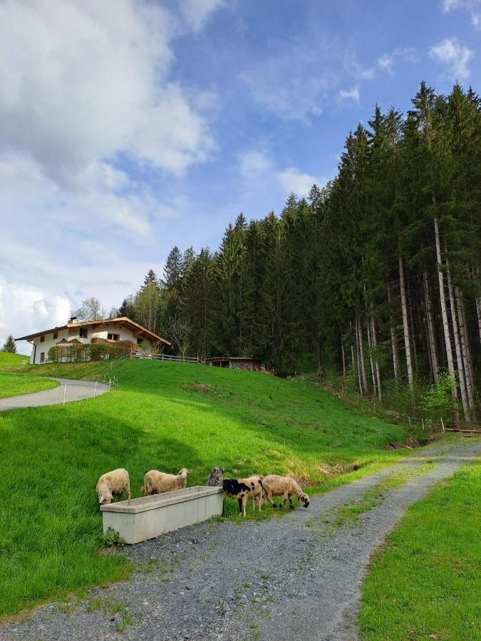 Ferienhaus Hansl Prama Екстер'єр фото